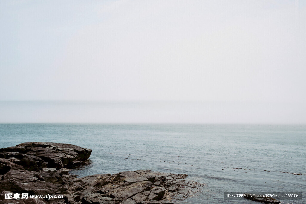 海