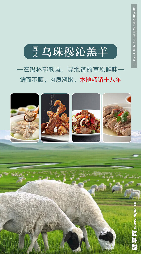 羊肉海报