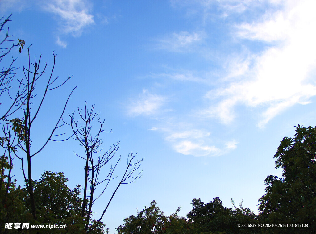 风中的天空