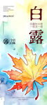 白露