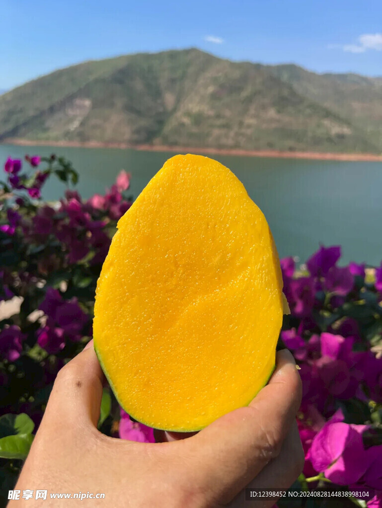 芒果