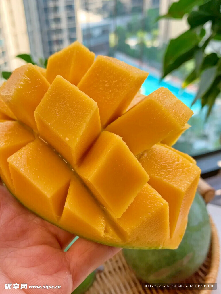 芒果