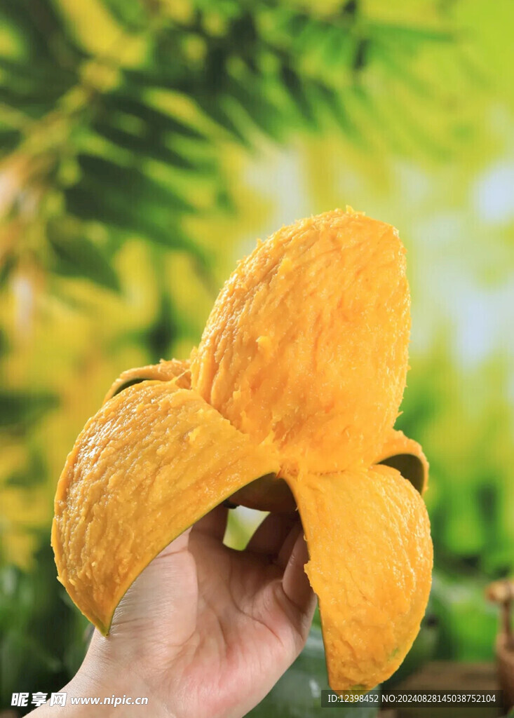 芒果