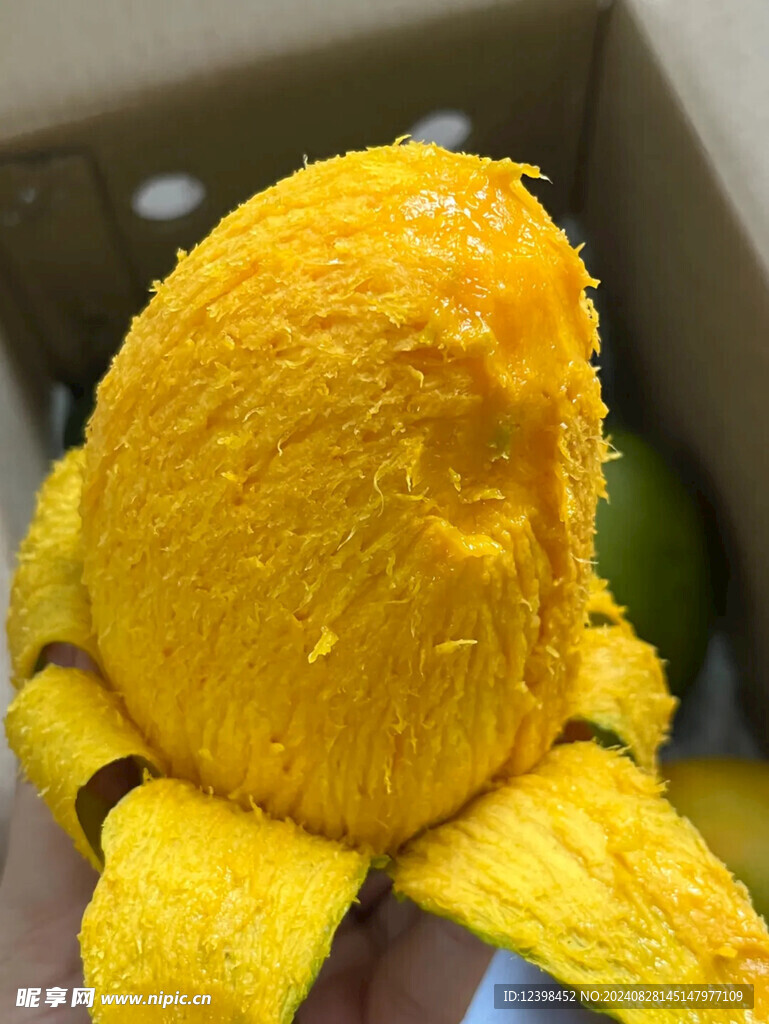 芒果