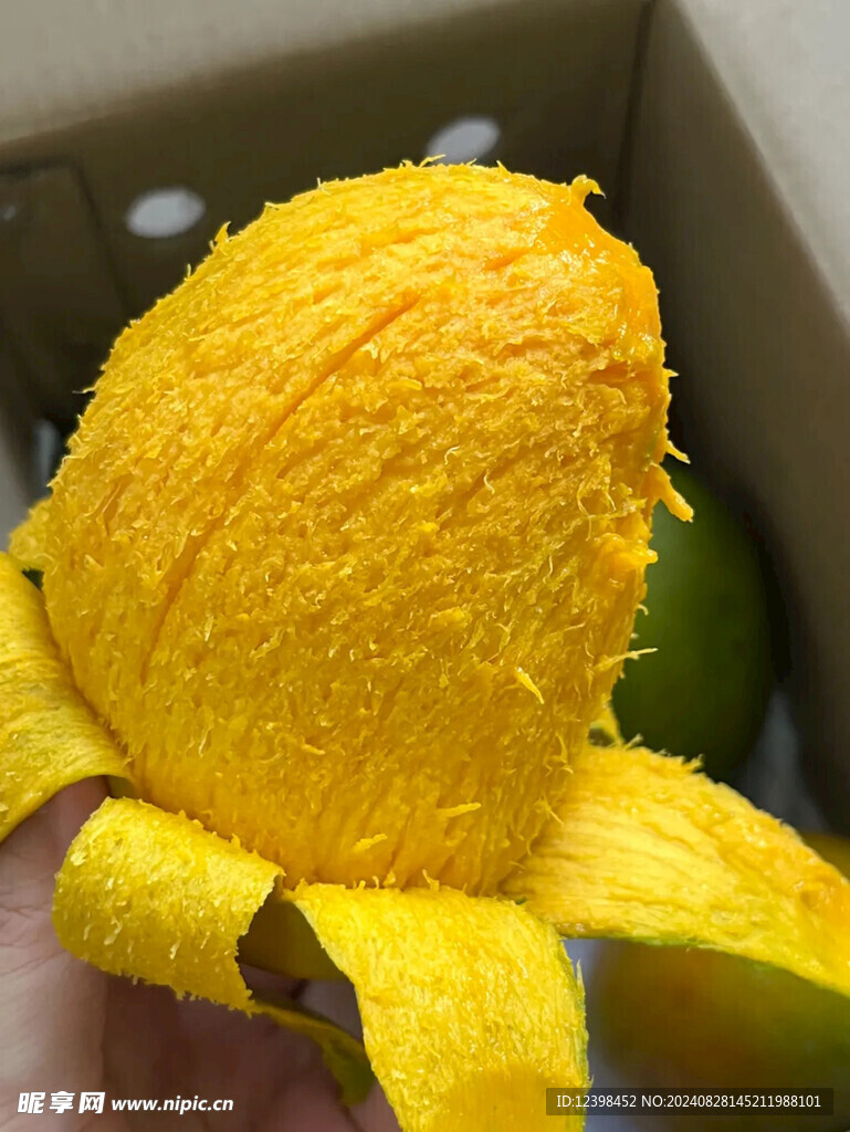 芒果