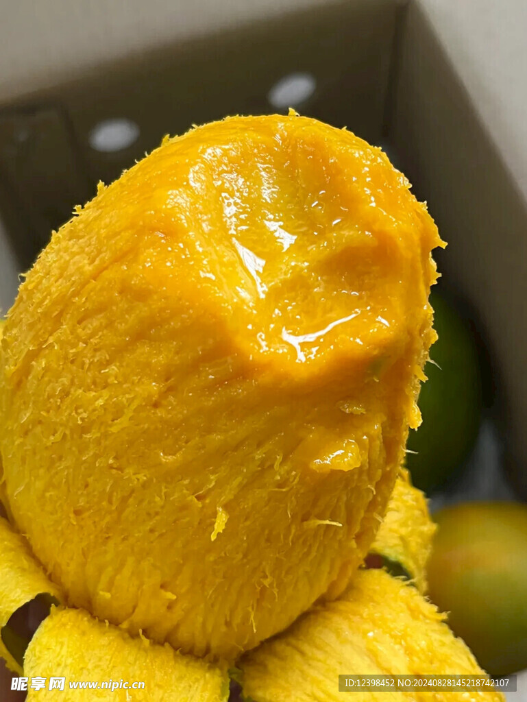 芒果