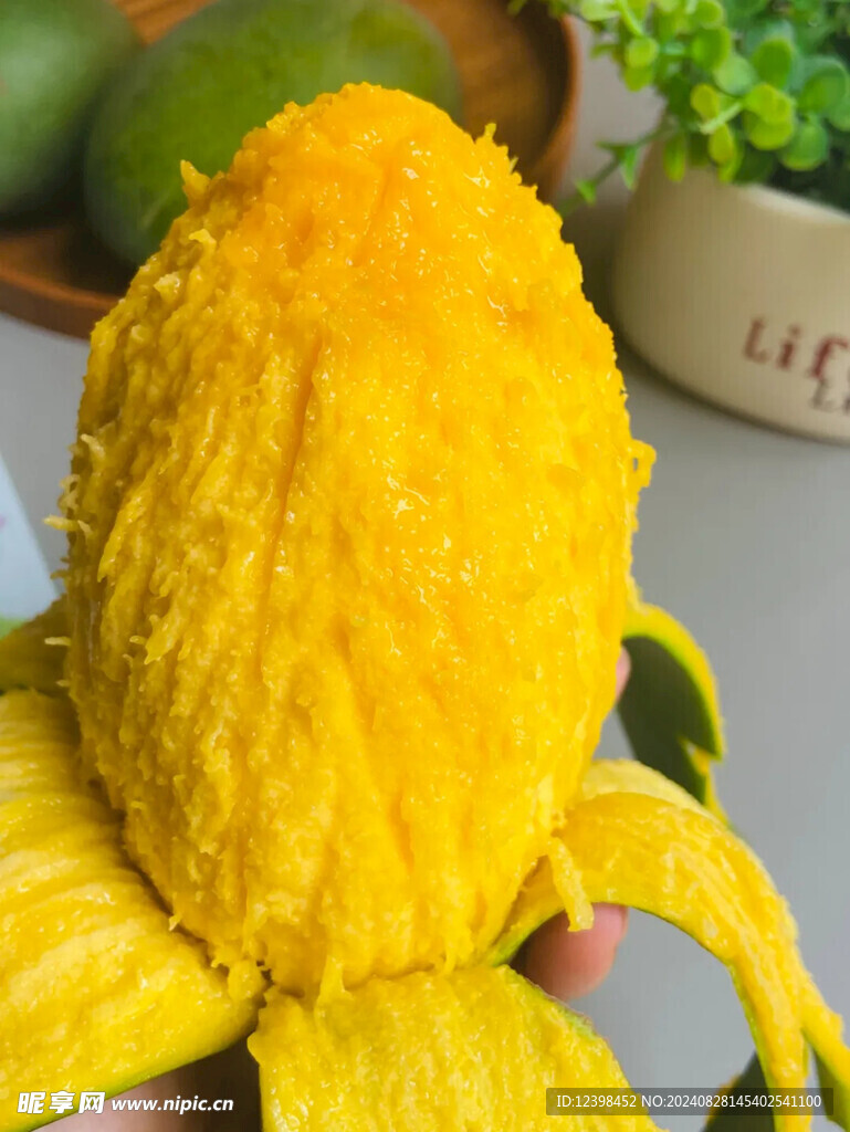 芒果