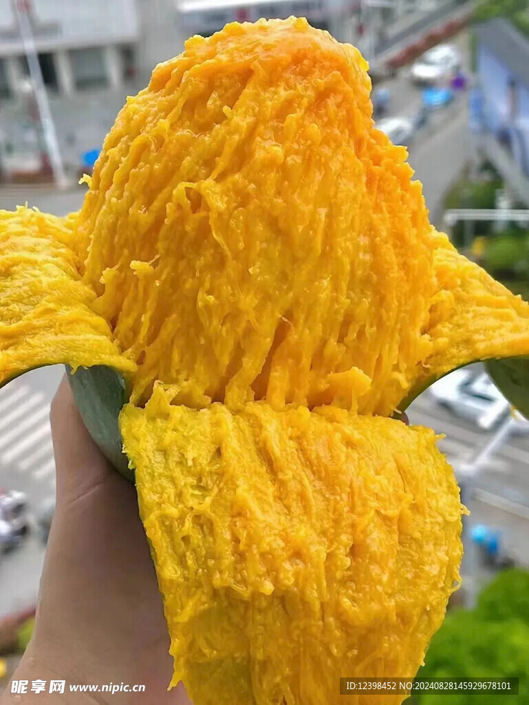 芒果