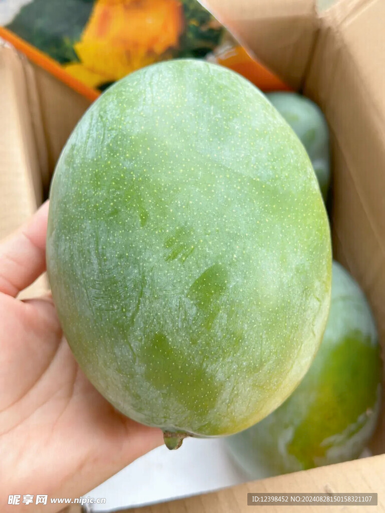 芒果