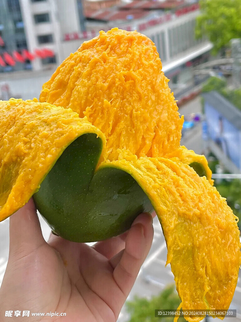 芒果