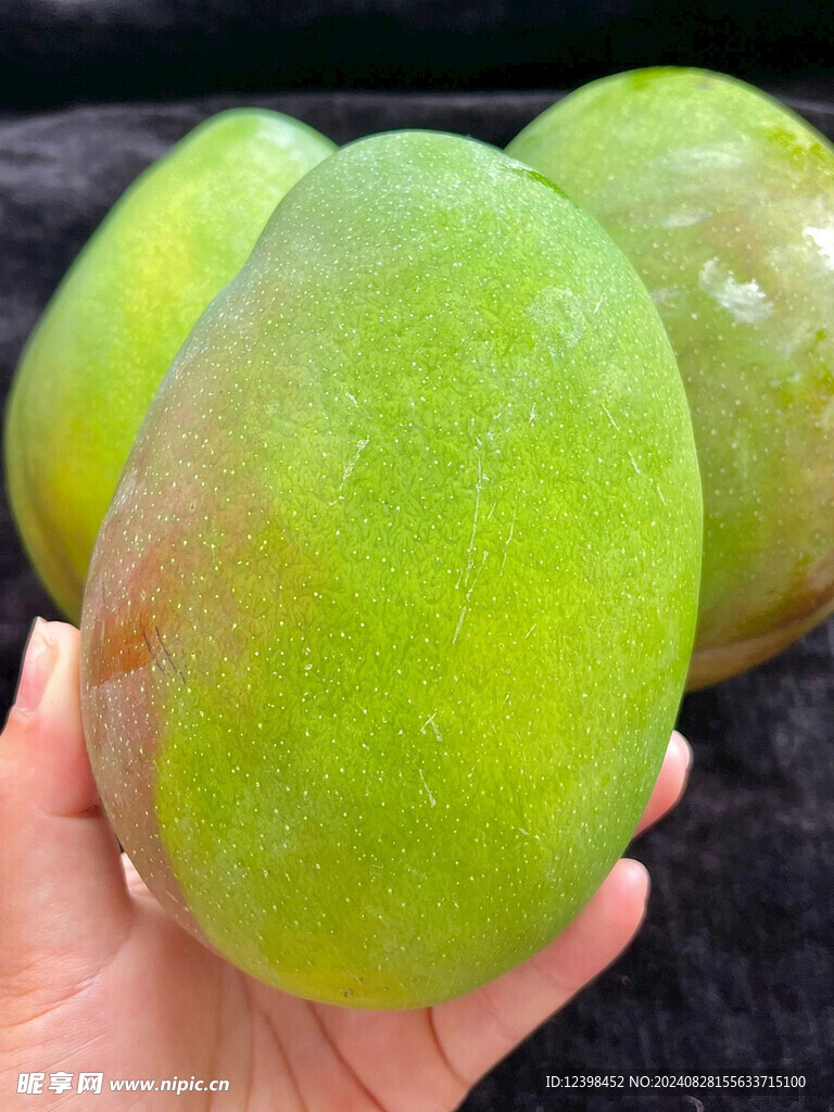 芒果