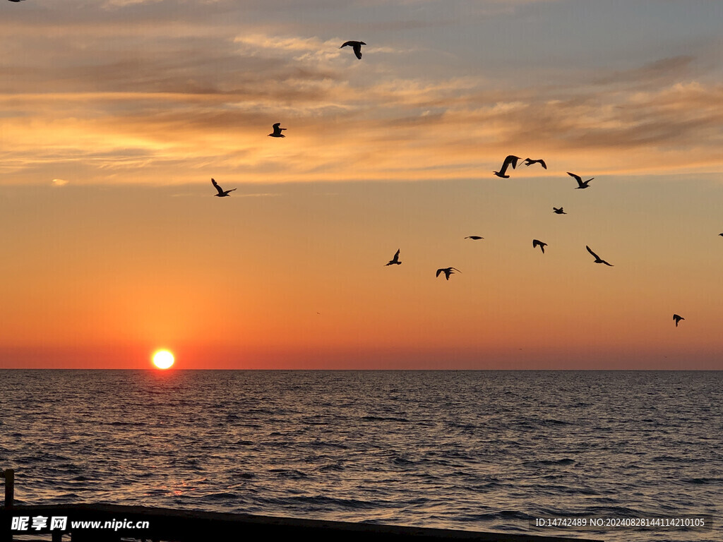 夕阳大海