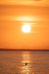夕阳大海