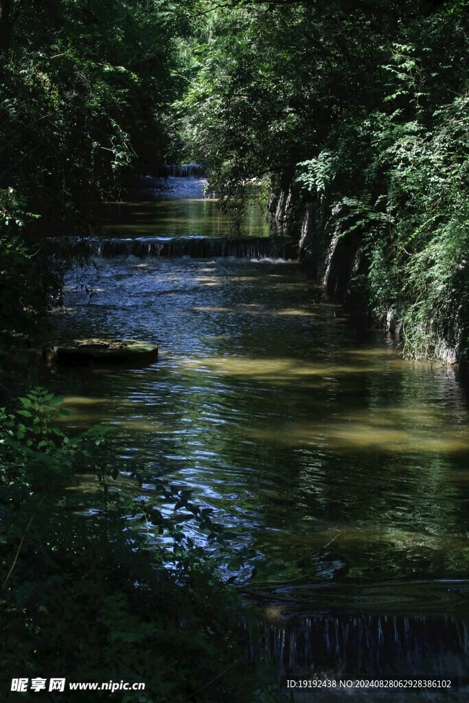 公园风景 