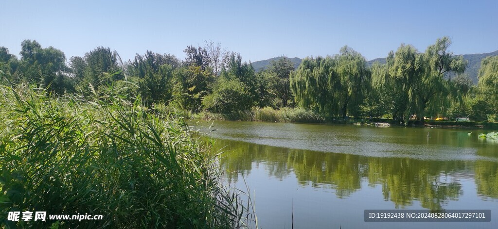 公园风景 