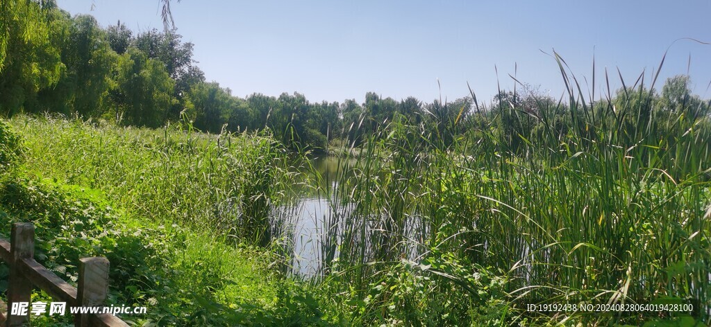 公园风景  