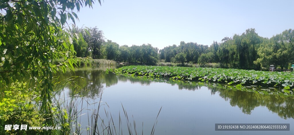 公园风景  