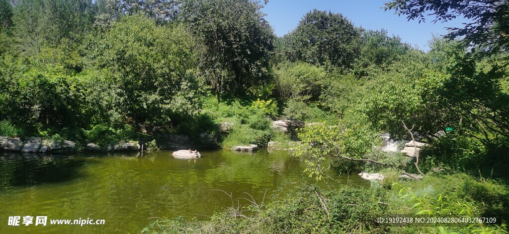 公园风景 