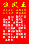 追风王简介