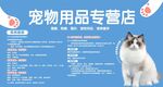 宠物海报