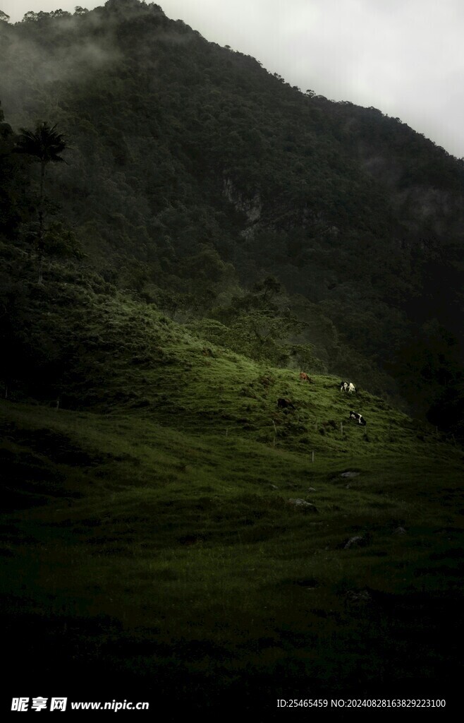 治愈风景