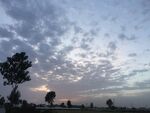 夕阳
