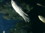 海洋馆