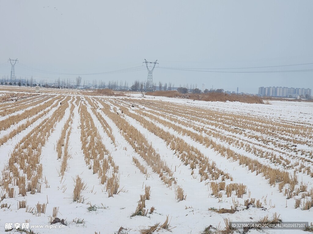 雪地