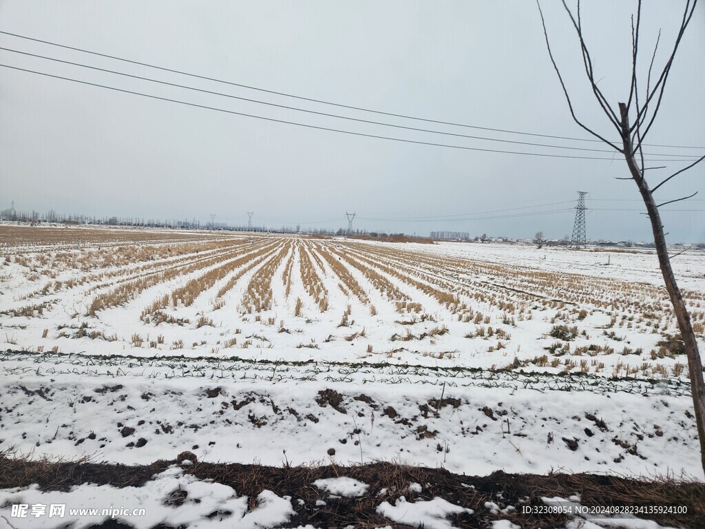 雪地