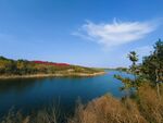 湖边风景