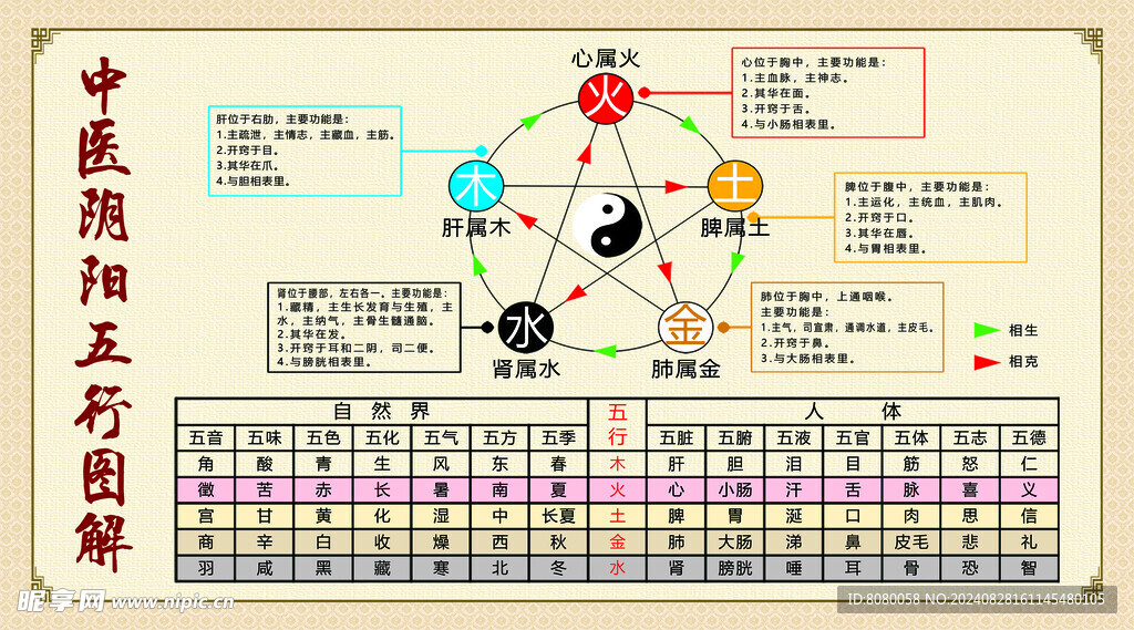 中医阴阳五行图解