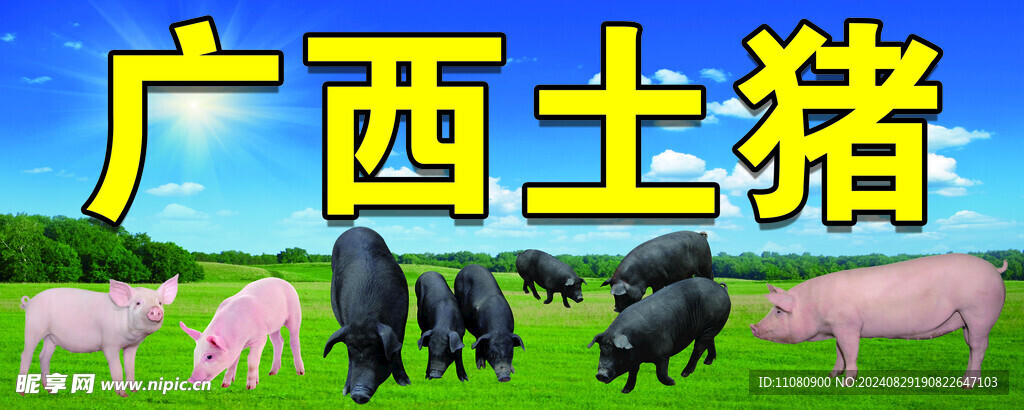 土猪