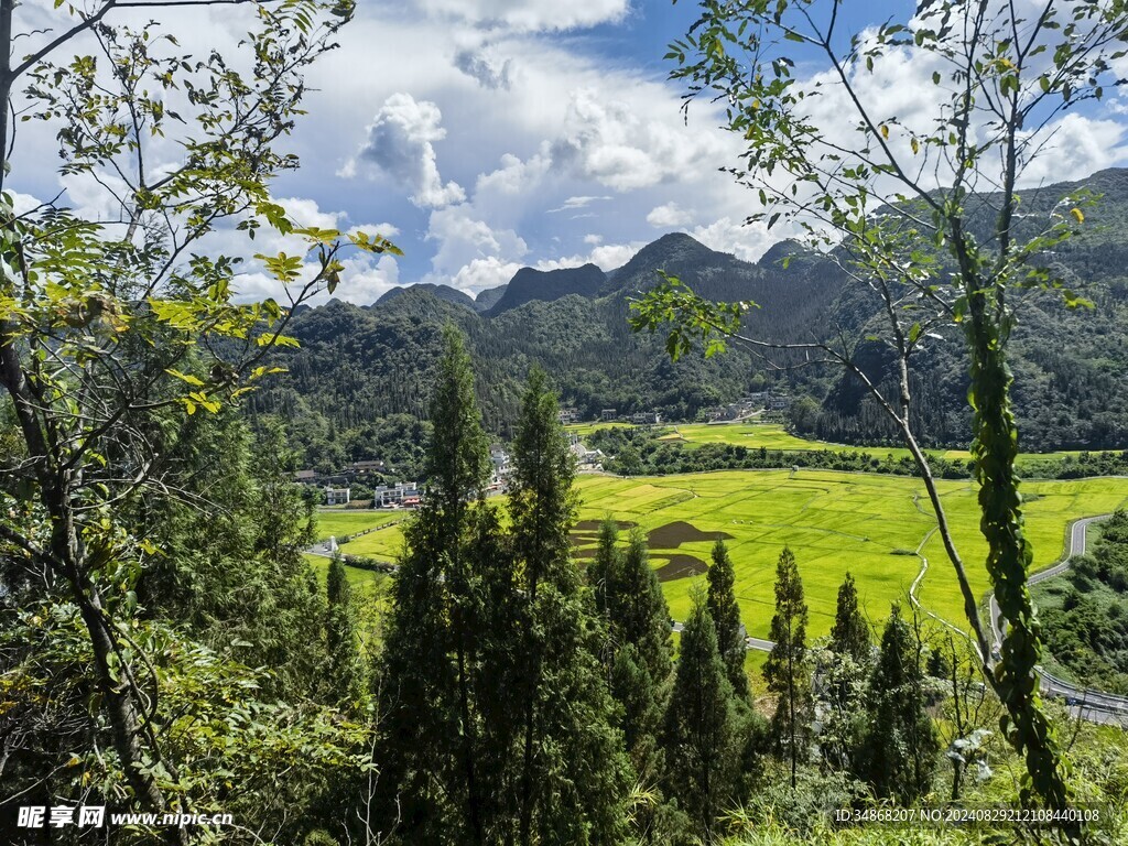 山顶风光