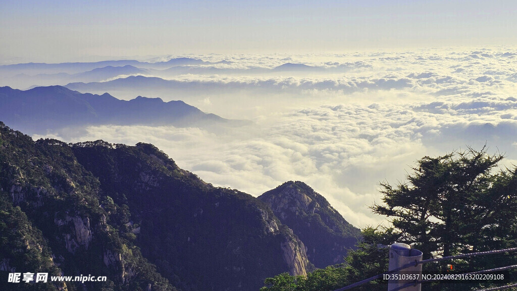 泰山