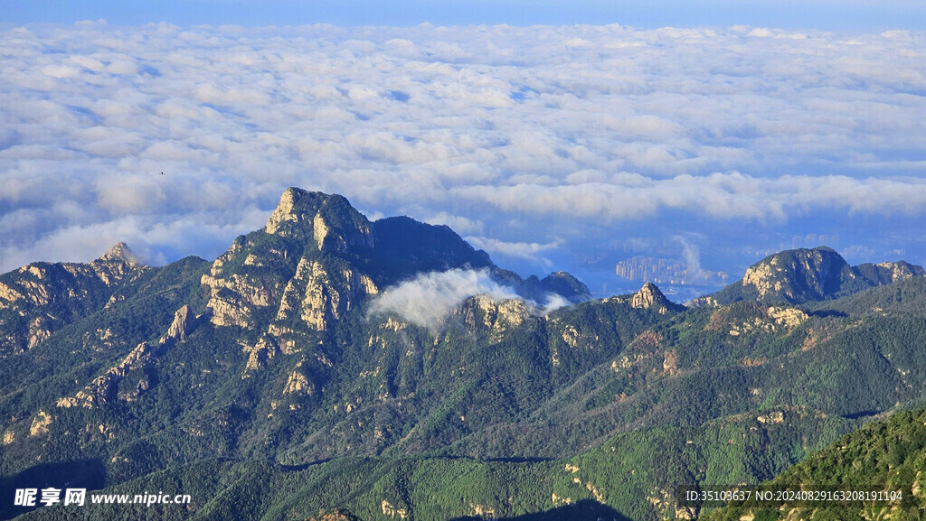 泰山