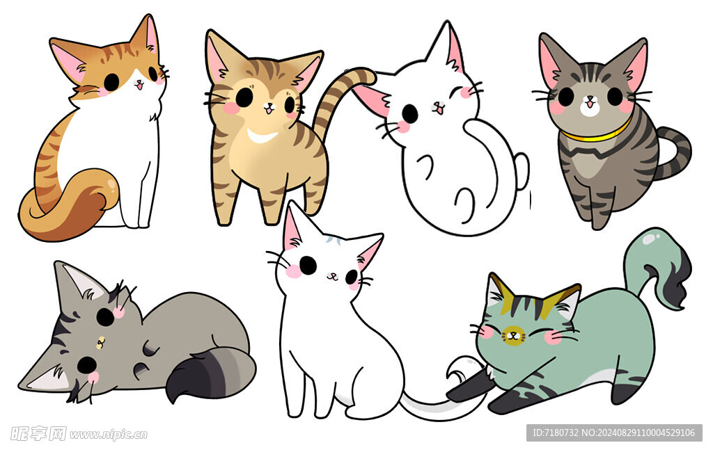 小猫