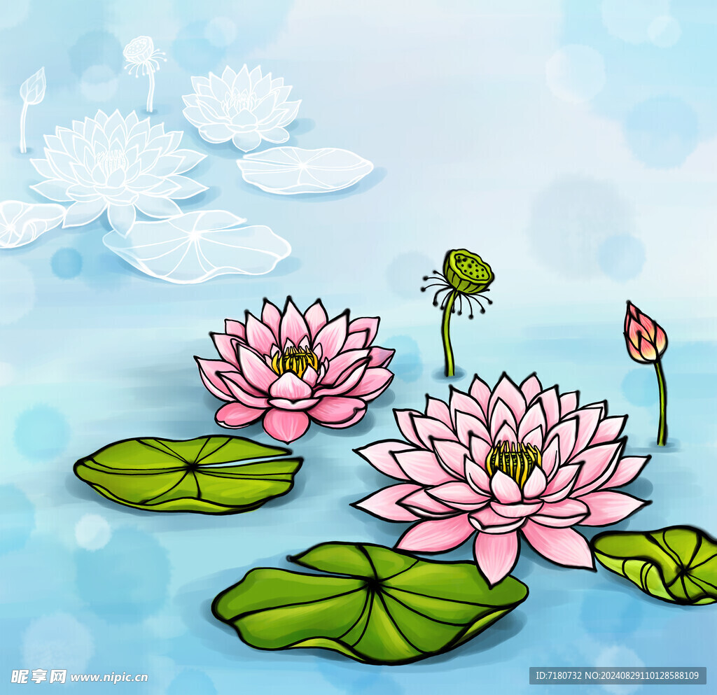 荷花