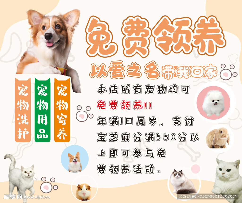 宠物领养