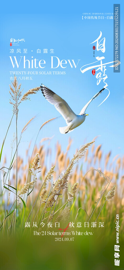 白露海报