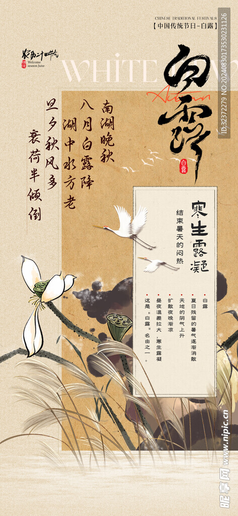白露海报