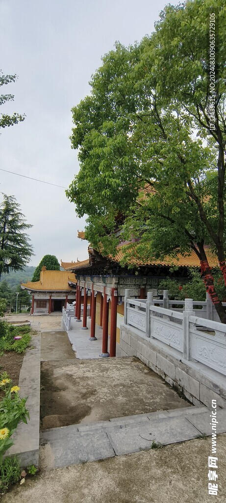 龙锦寺