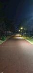 公园路