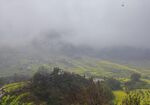 醉美乡村