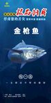 金枪鱼