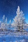 冰雪世界