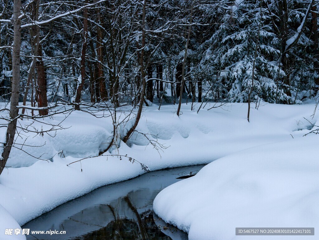 雪山森林