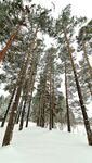  大雪 冬天 
