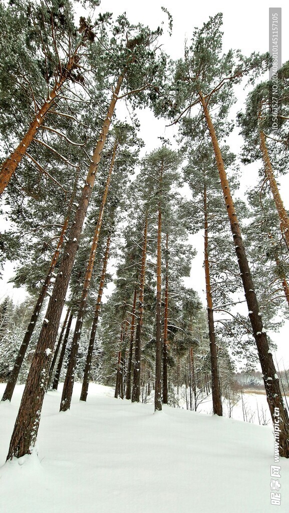  大雪 冬天 