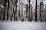 雪山 大雪  