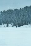  大雪覆盖的森林